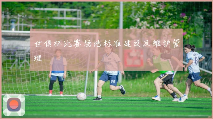 世俱杯比赛场地标准建设及维护管理